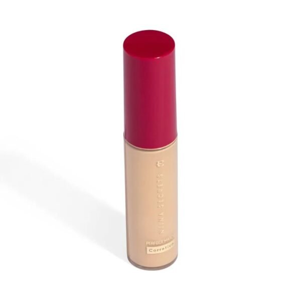 Corretivo Niina Secrets Perfect Match