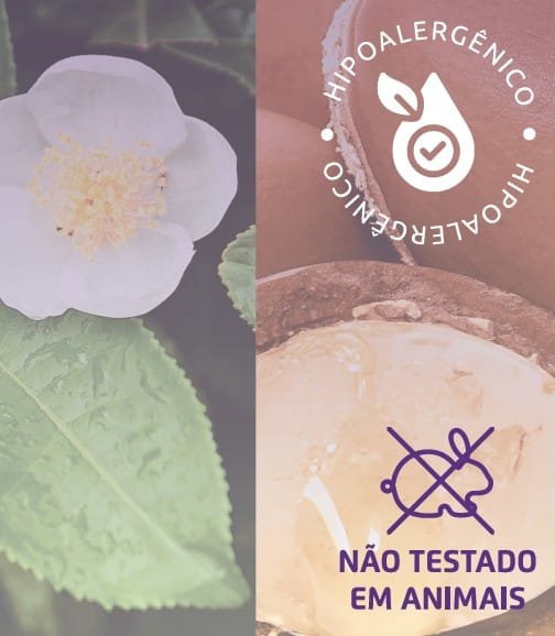 Tintura de Cabelo Hipoalergênica Allergycolor - BAUME - Imagem 5